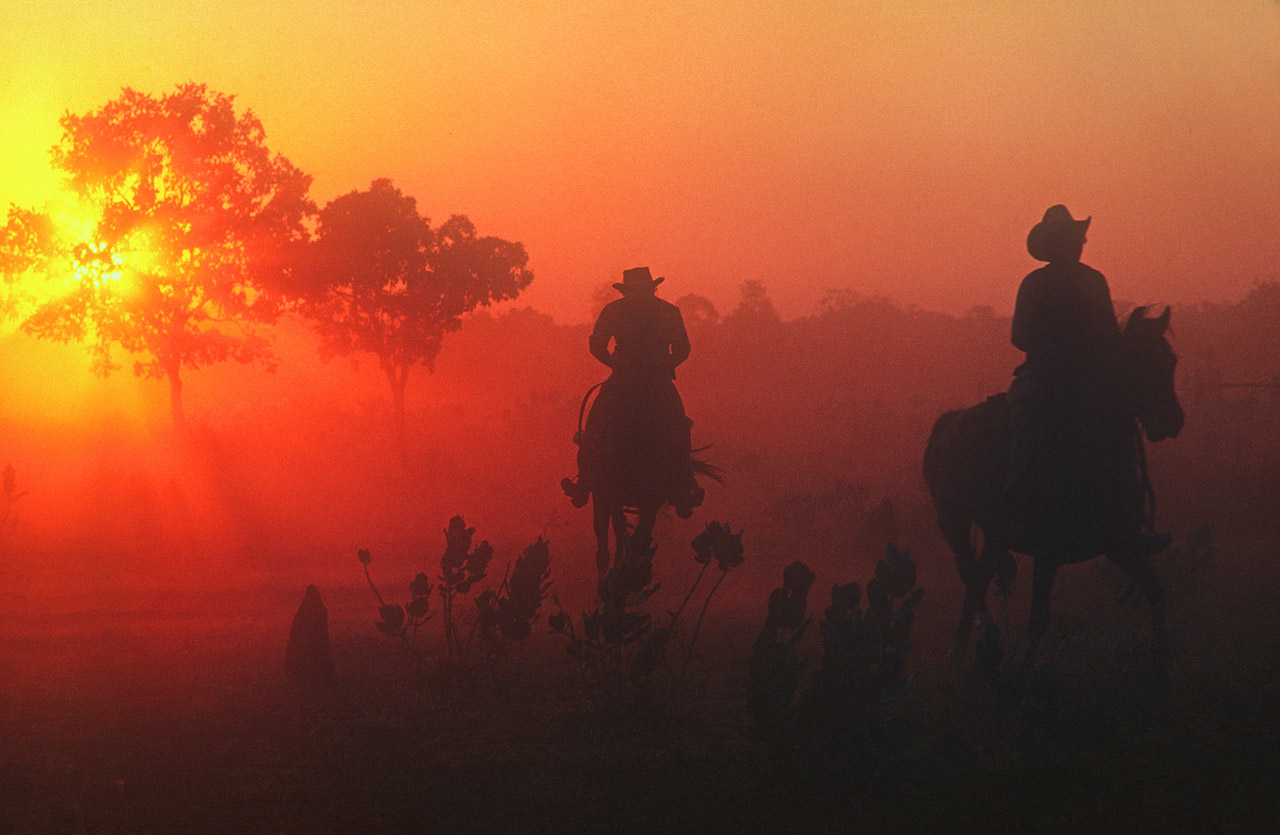 The last muster, Outback, Northern Territory, Australia, ©2017