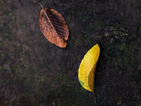 1_1410416